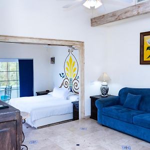 Junior Suite 1 King Bed Sofa Bed Kitchenette Terrace